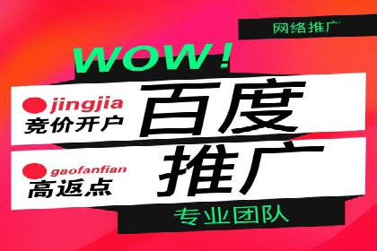 案例分享：百度竞价排名助力企业实现跨越式发展